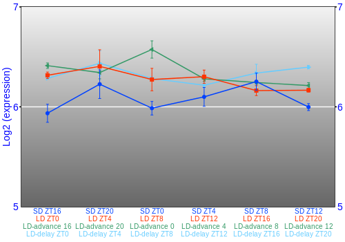 Expression graph