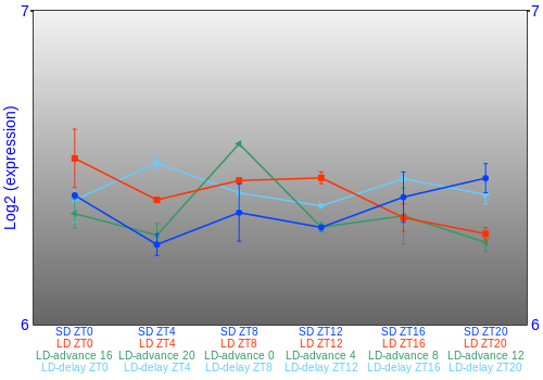 Expression graph