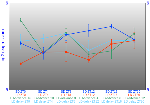 Expression graph