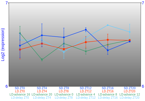 Expression graph