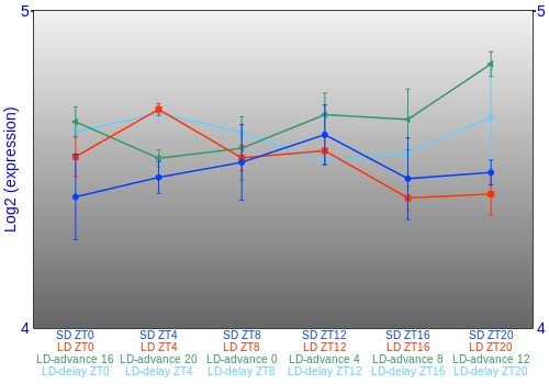 Expression graph