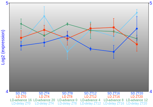Expression graph