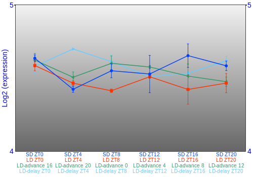 Expression graph