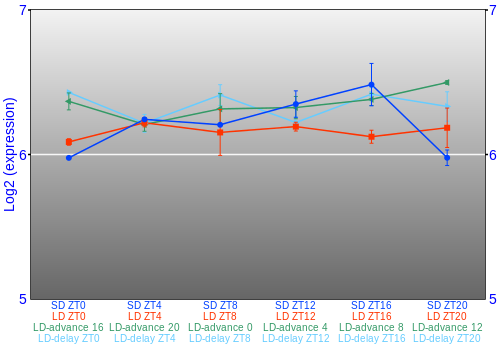Expression graph