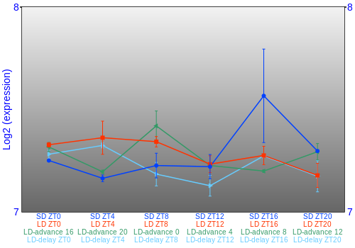 Expression graph