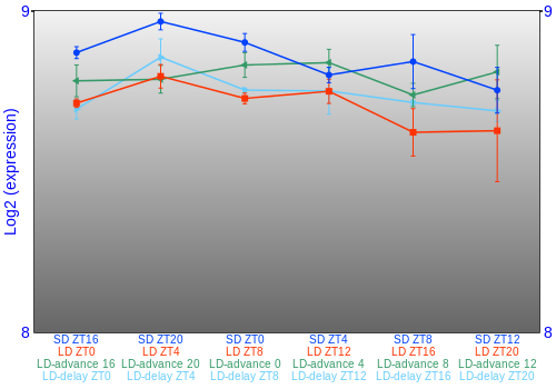 Expression graph