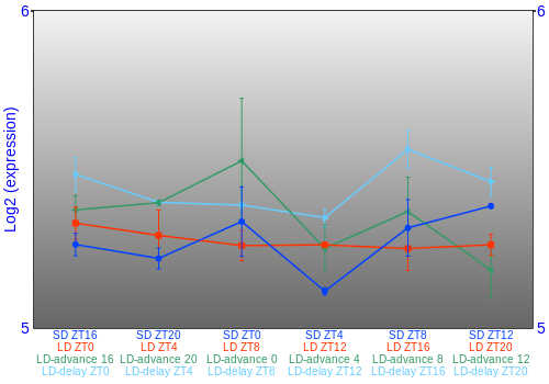 Expression graph