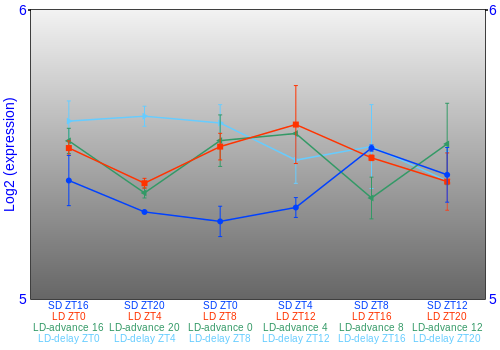 Expression graph