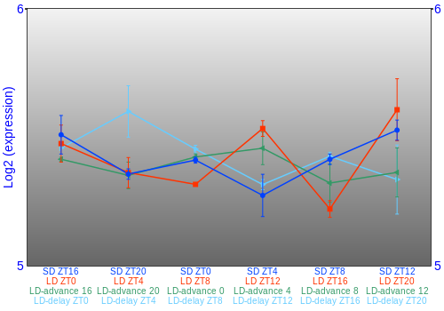 Expression graph