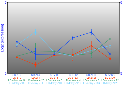 Expression graph