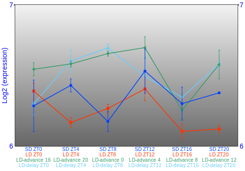 Expression graph
