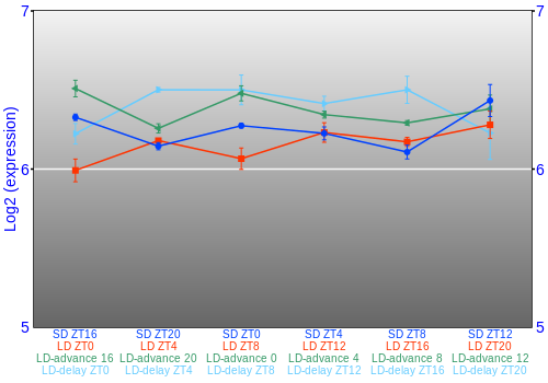 Expression graph