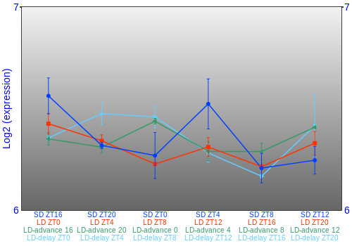 Expression graph
