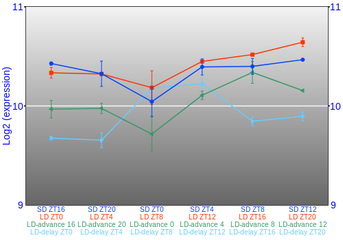 Expression graph