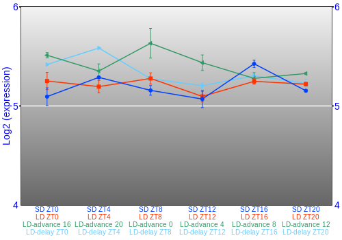 Expression graph