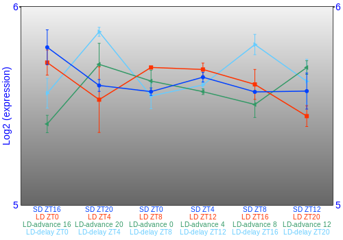 Expression graph