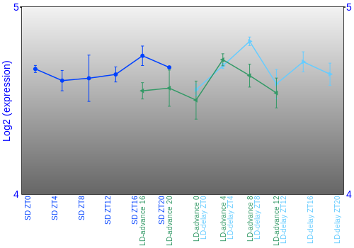 Expression graph