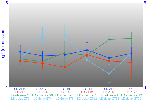 Expression graph