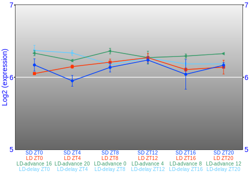 Expression graph