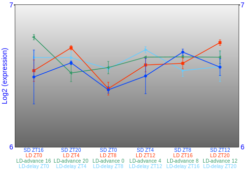 Expression graph