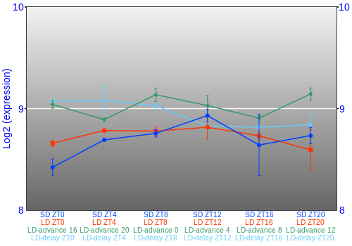 Expression graph