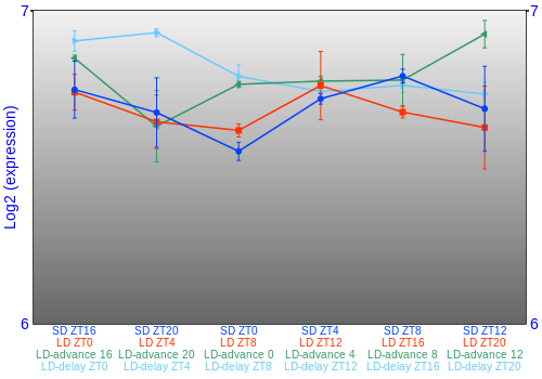 Expression graph