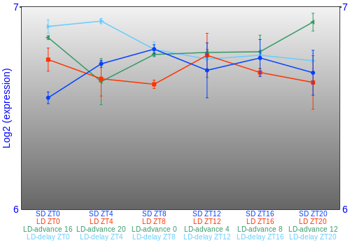 Expression graph