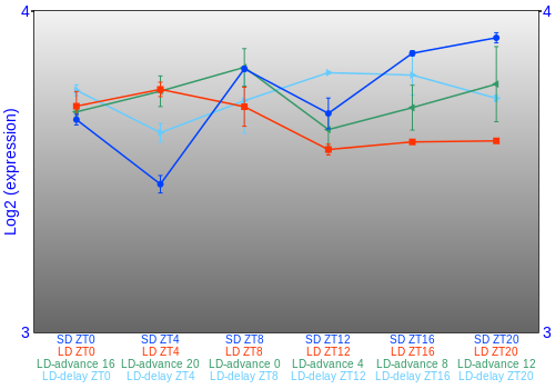 Expression graph