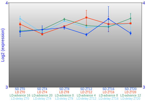 Expression graph