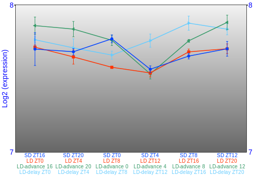 Expression graph