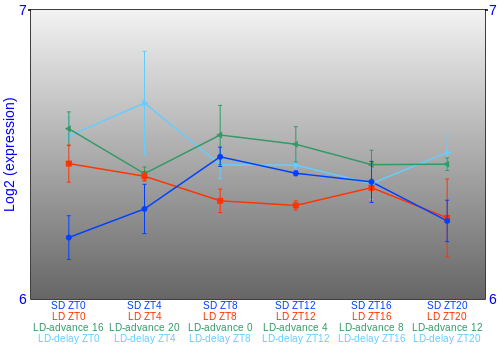 Expression graph