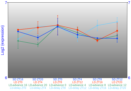 Expression graph