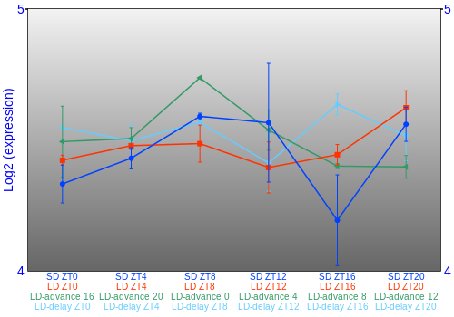 Expression graph