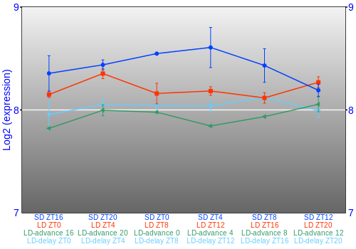 Expression graph