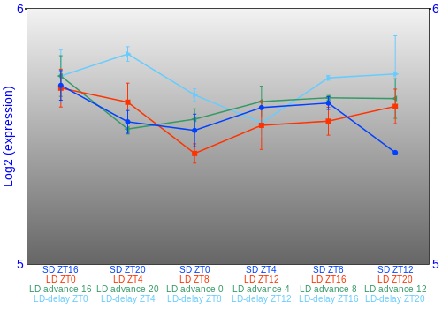 Expression graph