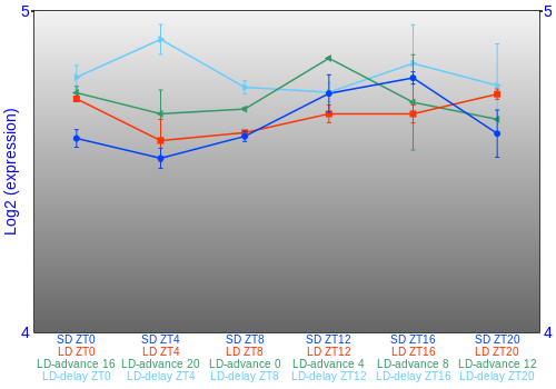 Expression graph