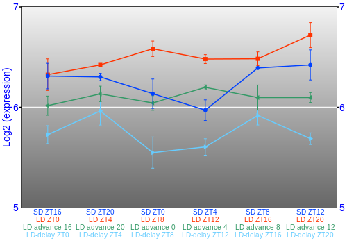 Expression graph