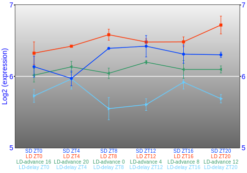 Expression graph