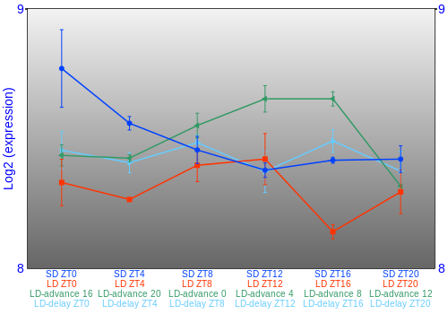 Expression graph