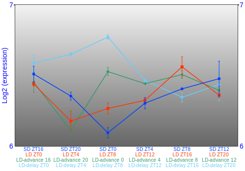 Expression graph