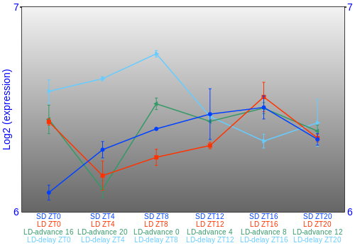 Expression graph