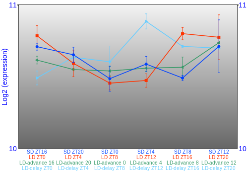 Expression graph
