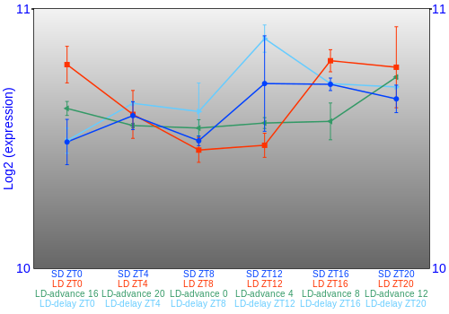 Expression graph