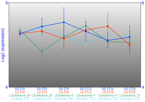 Expression graph