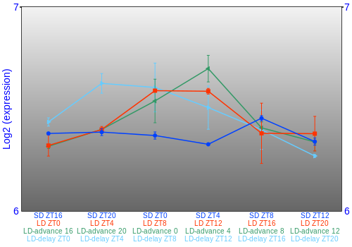 Expression graph