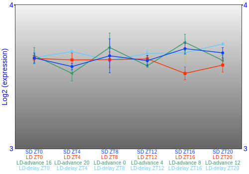 Expression graph