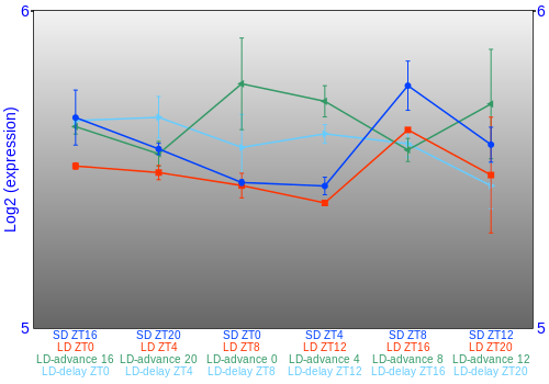 Expression graph