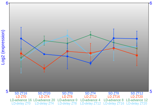 Expression graph