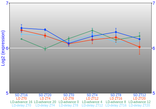 Expression graph