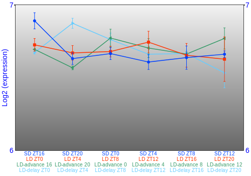 Expression graph